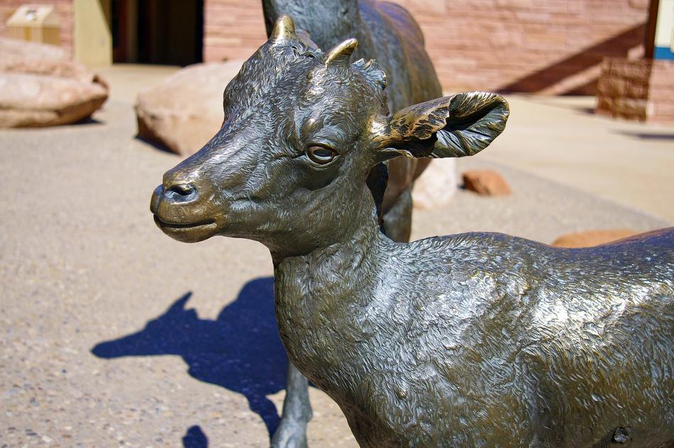 Bighorn Lamb In Bronze
