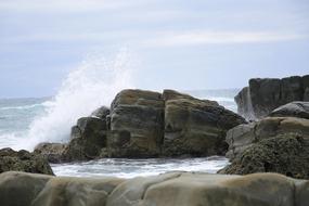 Beach Marine Sea