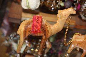 Camel Old Animal