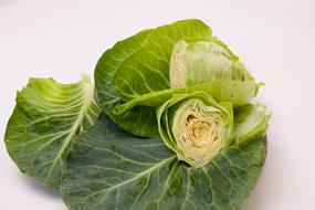 sliced cabbage green on a white background