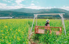 a girl on a bench in a green field