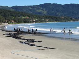 Fishing Fishnet Water