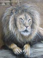 wild lion graffiti