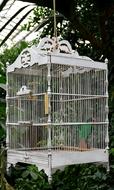Cage Boxed Bars