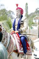 Punjabi groom in colorful clothing, on the horse, among the plants