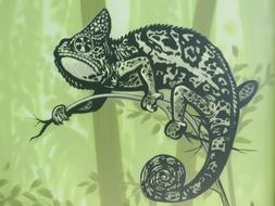 Kamelion Wall Art