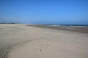 Langeoog Beach Dune
