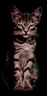 cat illustration yellow eyes cute