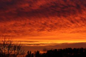 Sunset Pink Yellow