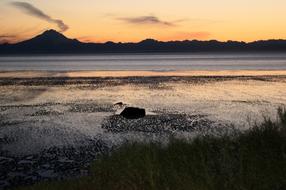Sunset Mt Redoubt Evening Cook'S