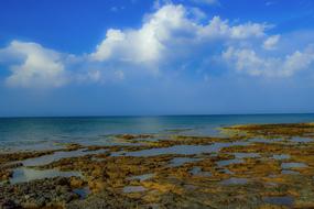 Beach Coast Sea
