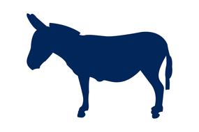 donkey animal silhouette nature