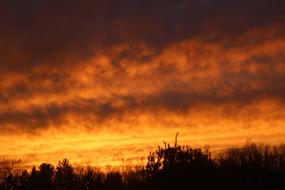 Sunset Pink Yellow