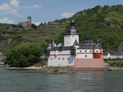 vineyards near the castle on the banks of the Rhine river