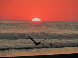 Sunset Beach Sun
