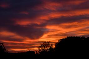 Beauty Evening Night