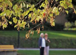 Park Spacer in Autumn