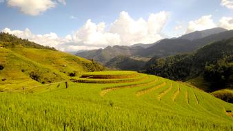 Terraces Rice Field Terrace