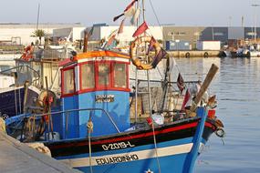Boat Sea Fish