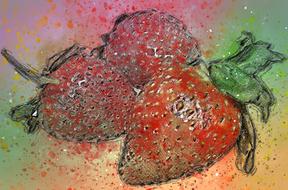 drawn ripe strawberries in the dirt
