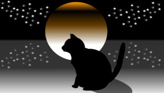 starry night cat illustration