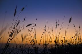 Sunset Sky Landscape