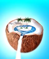 Coconut Sea Vacations
