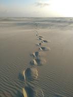 Traces Sand Sea