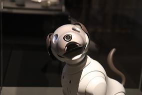 funny robot dog
