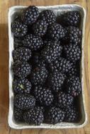 Tasty healthy blackberries