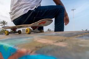 Skateboard Beach Wheels