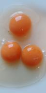 raw egg yolk on a plate