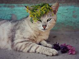 Cat Flower Wreath