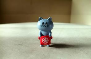 Domestic Cat Kitten