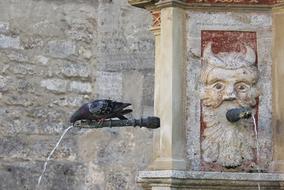 Dove Thirst Fountain