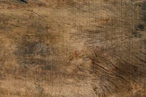 Wood Texture