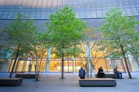 green trees at the entrance to an office building in London