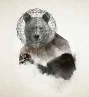 bear geometric animal creative
