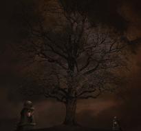 Tombstone Grave Graveyard