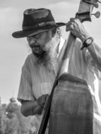 beard musician with double bass