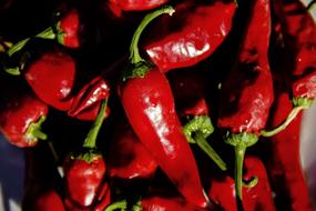 hot delicious red peppers