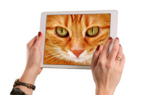 A tablet with a cat face