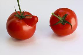 Funny juicy tomatoes on a white background