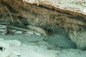 Web Beach Sea