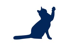 cat animal silhouette pet zoo pow