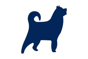 dog animal silhouette pet zoo pow