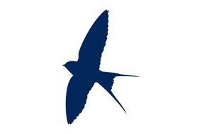 swallows bird silhouette swallow