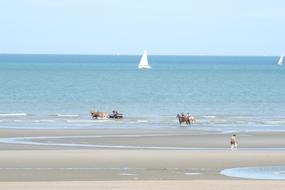 Beach Belgium Summer