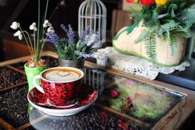 sweet frothy coffee on the table