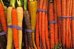 delicious fresh carrots tied up